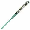 New Easton Prowess Flex FP19PR10 Fastpitch Softball Bat -10 2019 2 1/4″ Shop By Certification -Softball Bats Sales Store fp19pr10 20feb 1080x1080